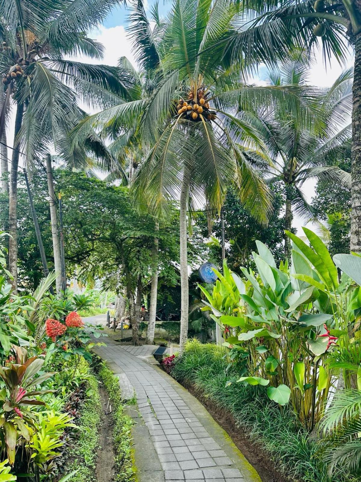 Villa Olirine By Balisuperhost Ubud Kültér fotó